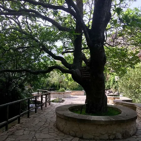 Kalliopi ιncreteble Cretan Resindences Collection Villa Xerokampos (Crete)