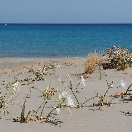 Kalliopi Xerokampos (Crete)